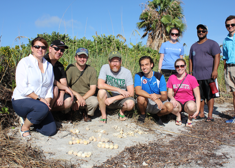 兰斯·朗教授和罗亚尔·加德纳教授和学生们在一个刚孵出蛋的海龟窝后面合影